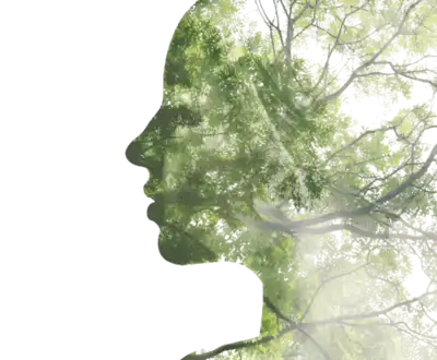 Logo Coachingcenter Fink Kelheim